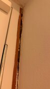 IMG_6631.jpeg