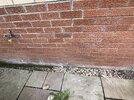 IMG_1730.jpeg
