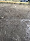 IMG_4664.jpeg