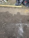 IMG_4663.jpeg