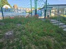 20260619_081742.jpg