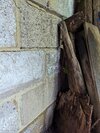 PXL_20260620_085416585.jpg