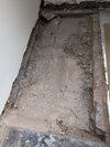 PXL_20260615_123216666.MP.jpg