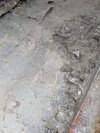 PXL_20260615_123230264.MP.jpg