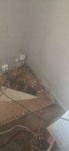 20260619_110013.jpg