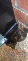 20260622_164301.jpg