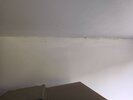 IMG_20260620_192059221.jpg
