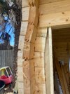 shed.jpeg