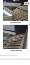 IMG_9483.png