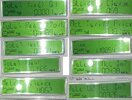 Smart meter reading 4.jpg Smart meter reading 4.jpg