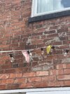 IMG_4318.jpeg