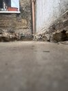 IMG_4965.jpeg