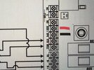 IMG_7487.jpeg
