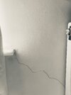 IMG_4321.jpeg