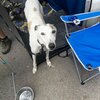 IMG_2021.jpeg