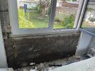 IMG_1017.jpeg