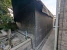 PXL_20260707_193935592.jpg