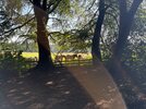 IMG_9451.jpeg