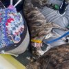 IMG_2056.jpeg