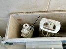 IMG_2412.jpeg