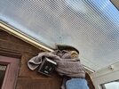 IMG_8468.JPG