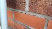20260719_171324.jpg
