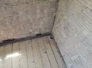 20260720_115132.jpg