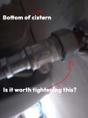 toilet-bottom.jpg