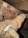 IMG_1768.jpeg