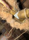 IMG_1772.jpeg