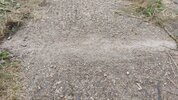 IMG_20260724_202333.jpg