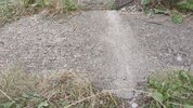 IMG_20260724_201734.jpg