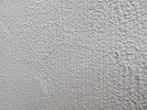 PXL_20260726_175730650.jpg