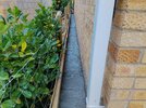 concrete path.jpg