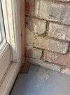 IMG_2726.jpeg