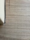 IMG_2725.jpeg