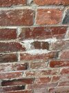 IMG_2717.jpeg