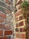 IMG_2716.jpeg