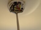 IMG_4891.jpeg