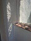 20260731_125739.jpg