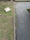 IMG_1241.jpeg