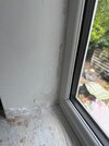 IMG_3595.jpeg