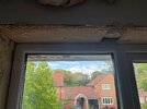 IMG_3620.jpeg