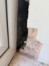 IMG_3612.jpeg
