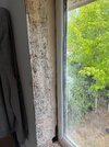 IMG_3619.jpeg