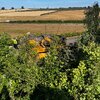 IMG_2068.jpeg