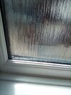 IMG_20260809_121051.jpg