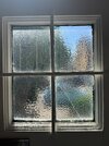 IMG_8130.jpeg