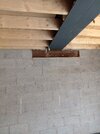 IMG_20260810_171253.jpg