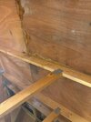 IMG_8843.jpeg